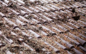 Clatterford End roof cleaning companies